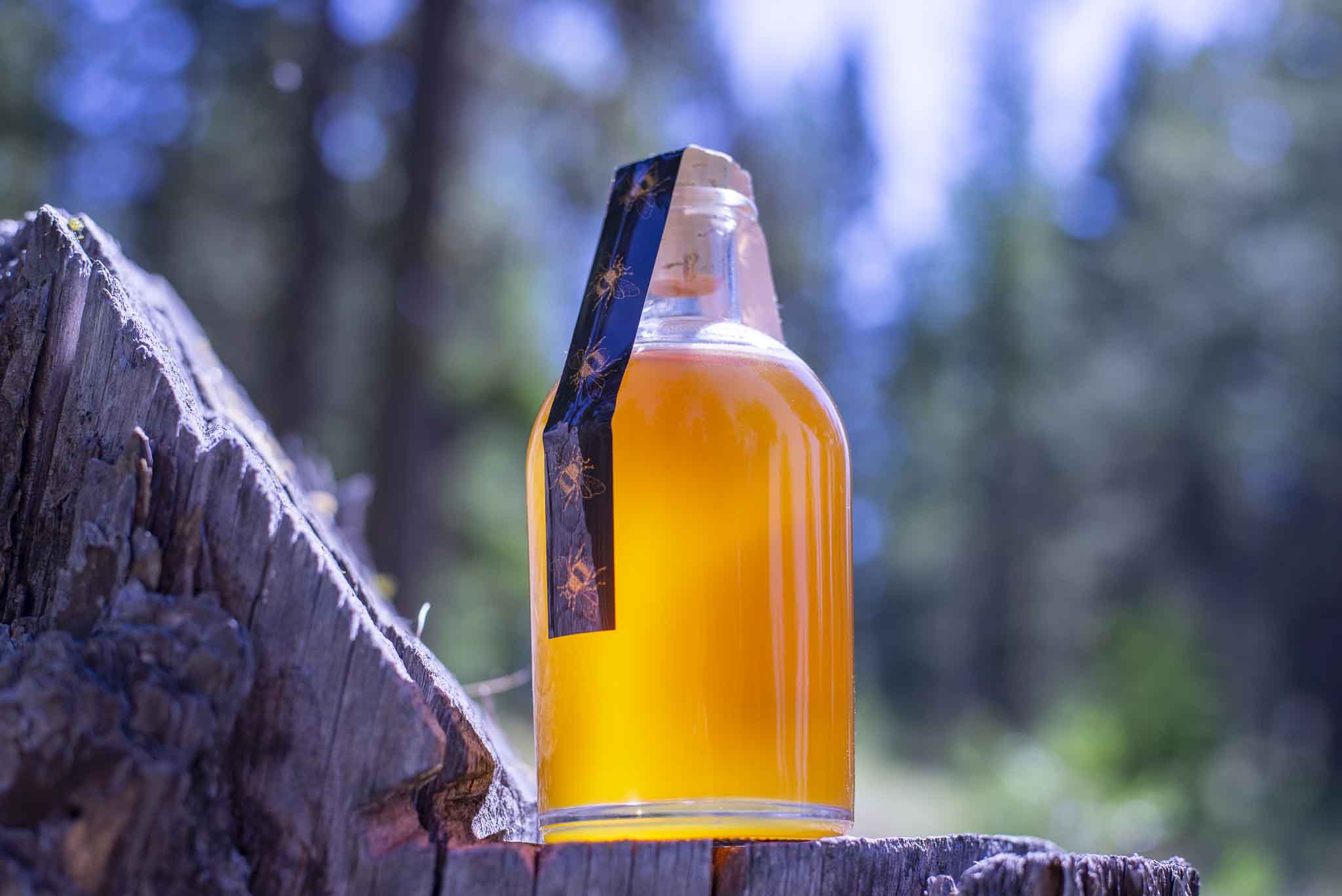 Boston filled with PNW Honey