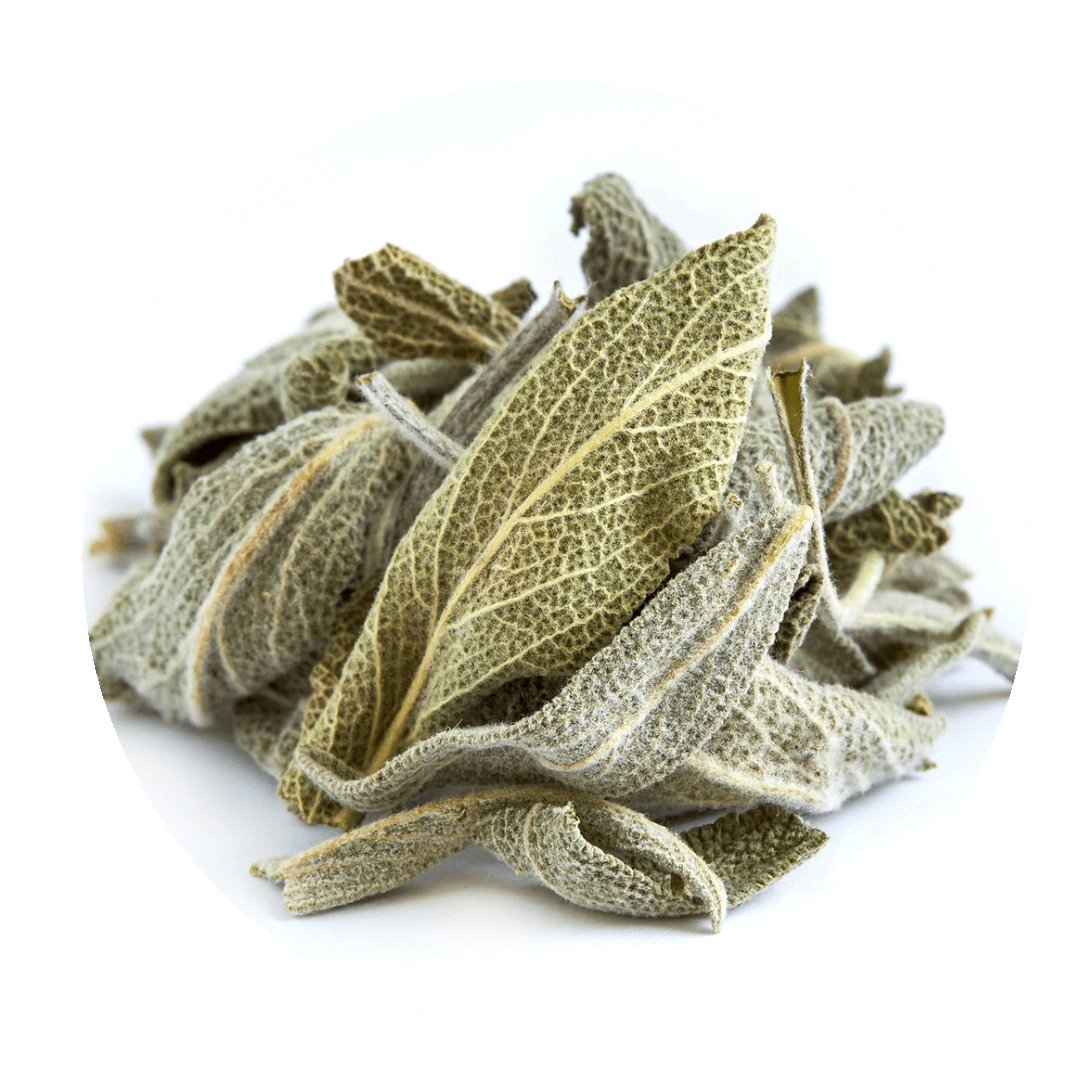 Greek Sage (Ikaria, Blue Zone)